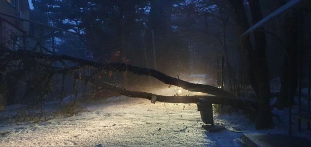 � ����� ��������� ��������� ��������������