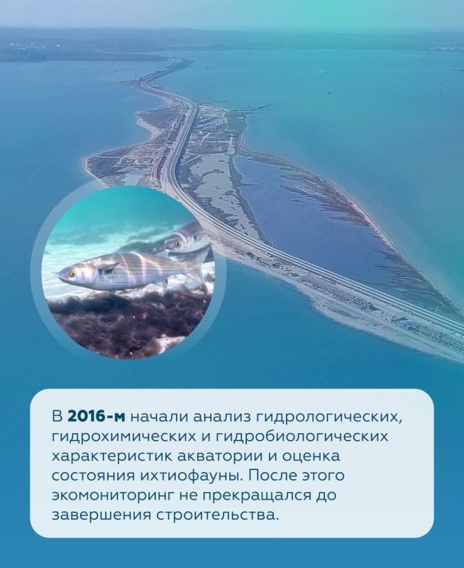 �������� ���� � ��� ��������� ���� �� ������� �������� �������� � ���������������� ��������� ����� ������