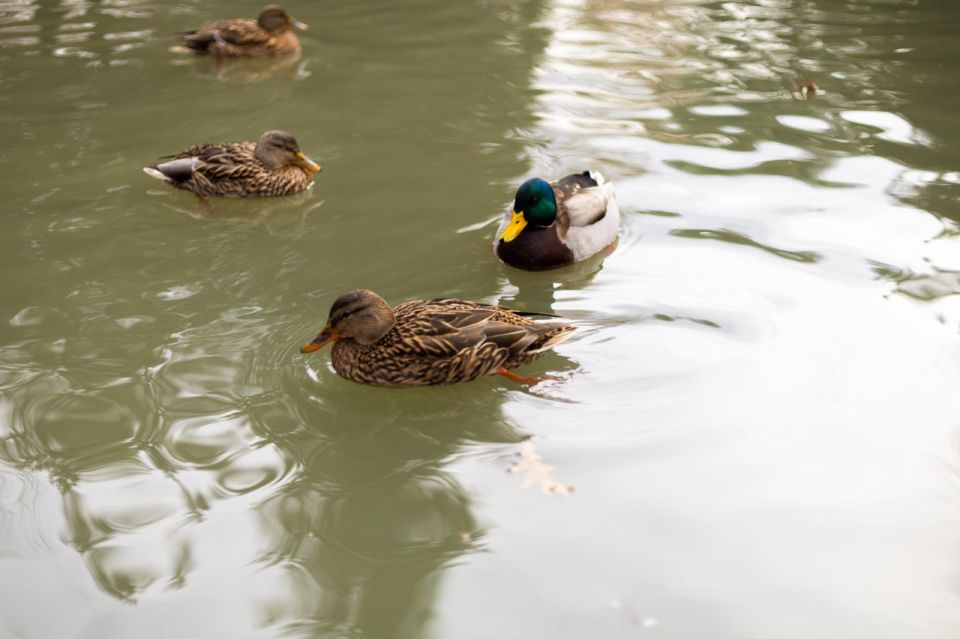 ����� �� �����.... � ������ ����������� �������� ������� ������� � ����������� ����� �������� �����, ����� ������� ����� �� ������� �������� �������� �����, � ��������� ����, �������������� ������ ����� ��������, ���������...