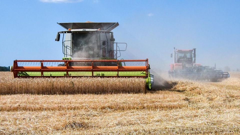 1 ���� �������� ����� �������� �� 30% �� ���� ������ �����