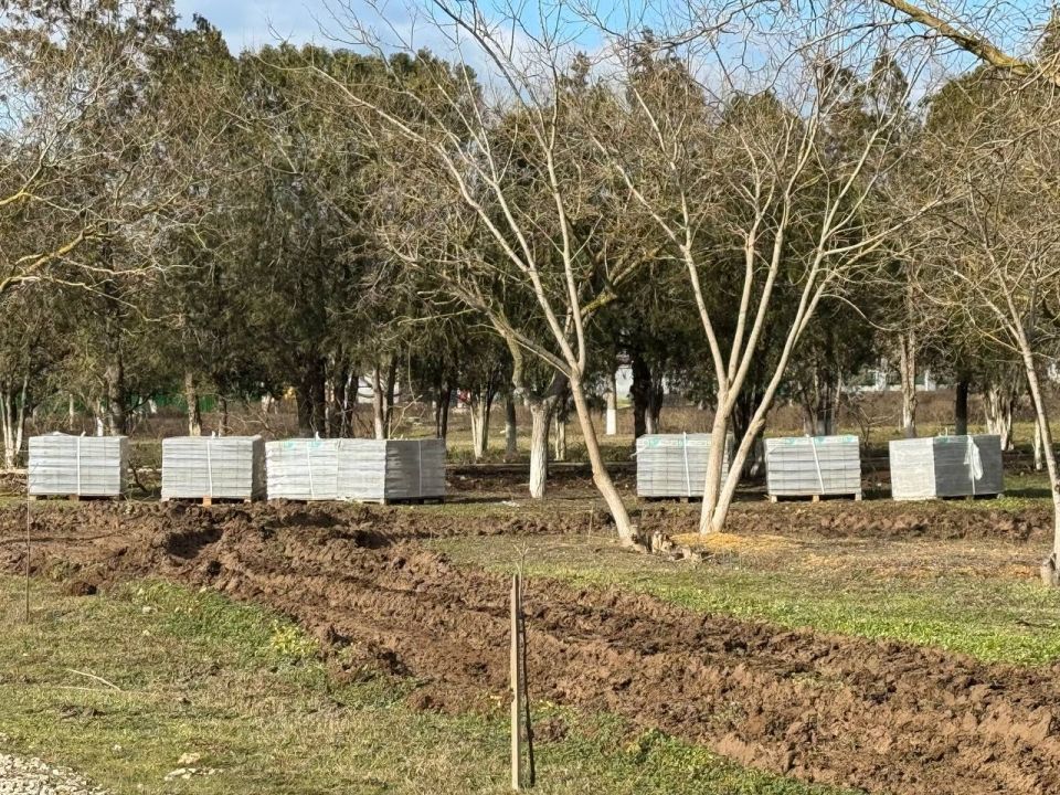 ��������� ������� ���������������� ��� ��������������� ������������ ���������� � ���� ������������