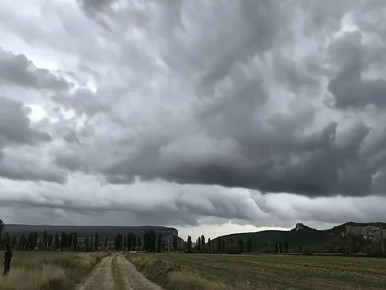 ������� ����� �� 22 �/� ������� ���� ��� ������