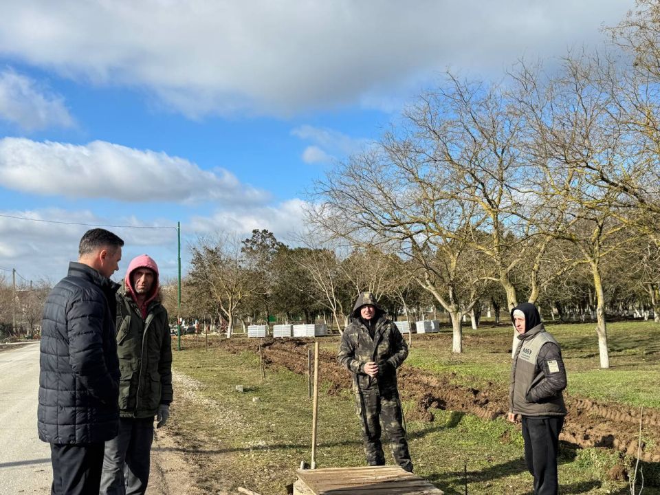 ��������� ������� ���������������� ��� ��������������� ������������ ���������� � ���� ������������