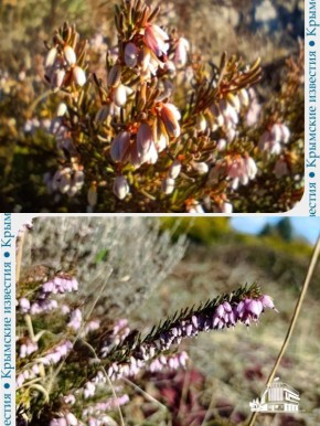 ����� �������� ������� � ������������ ���� �����������