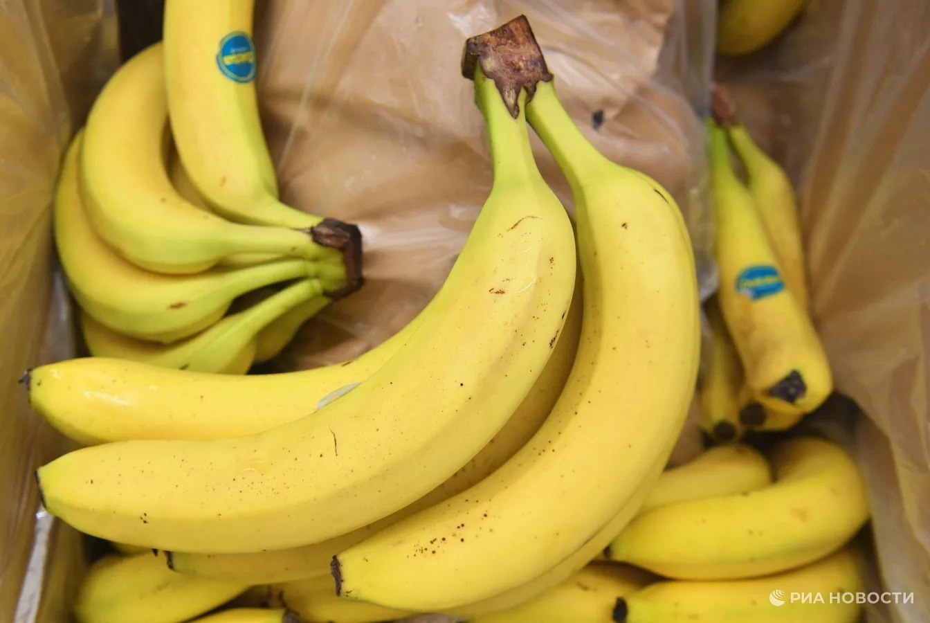 От 14 см и не уродливые: в России утвердили ГОСТ на бананы