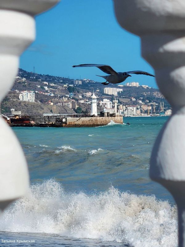 � ���� ������� ������.. ������� ��������. 0