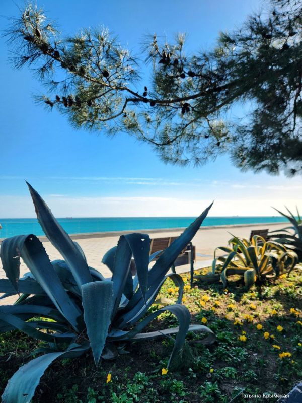 � ���� ������� ������.. ������� ��������. 0