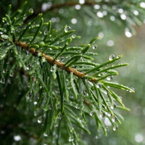 ����� ������ ��� ������� � ������ ����� 21 �������