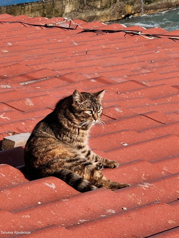 � ���� ������� ������.. ������� ��������. 0