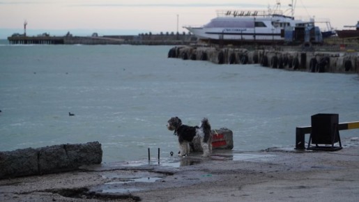 ������� ������ � ����� �� 21 �������