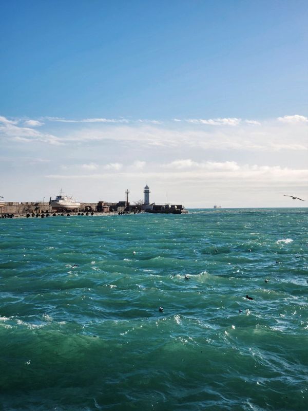 � ���� ������� ������.. ������� ��������. 0