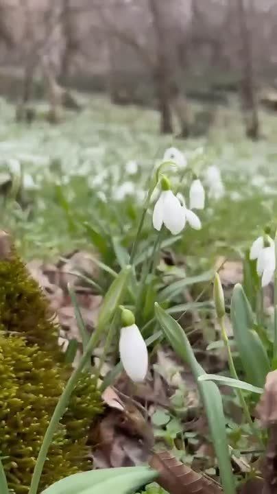 ���� ������ ������������ � �����