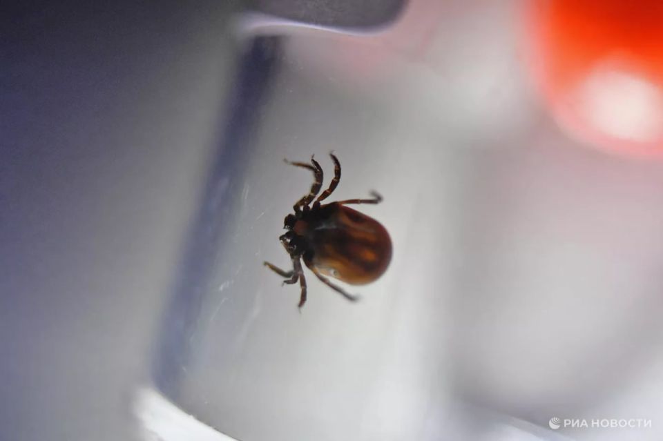 ����� ����� ��������� ������� ������ ��������