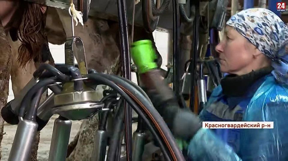 Кузнец, молочник и механик: журналистка «Крым 24» опробовала на себе мужские профессии