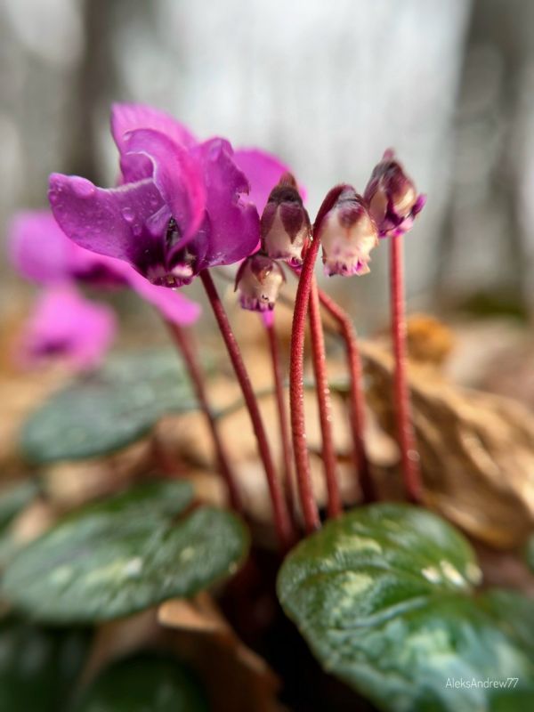 ������� �������� � ����������� �������� ����