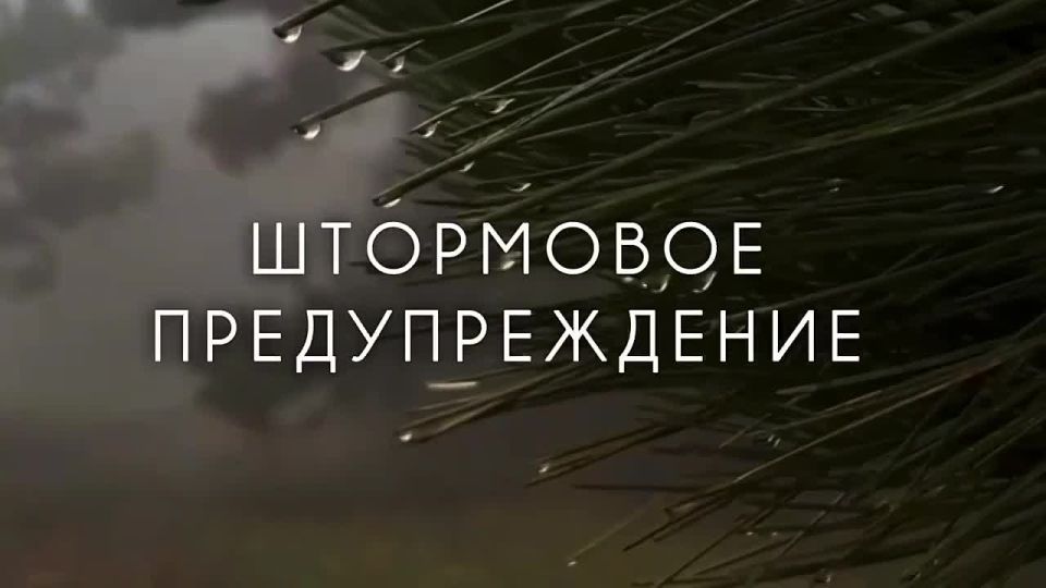 Экстренное предупреждение о неблагоприятных гидрометеорологических явлениях по Республике Крым на 24 февраля 2026 года