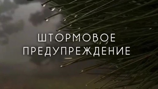 ���������� �������������� � ��������������� ���������������������� �������� �� ���������� ���� �� 24 ������� 2026 ����