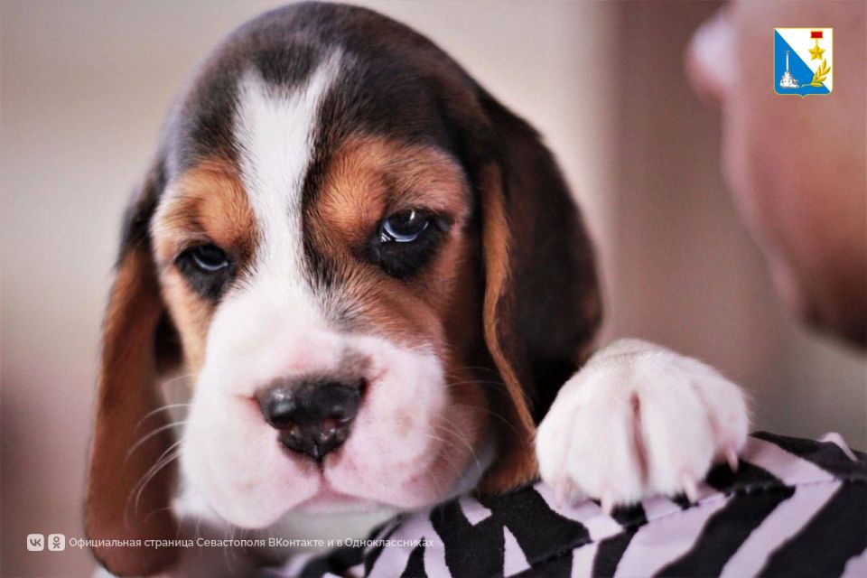 ����� 50 ����� � ����� ������� ���������� ������������ �� ��������