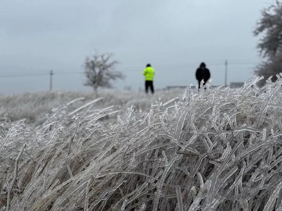 ������� ������ � ����� �� �������