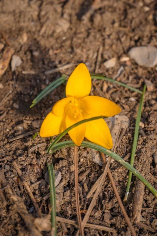 ��������� �������� � ������������ ������� ������