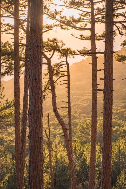 ��������� �������� � ������������ ������� ������