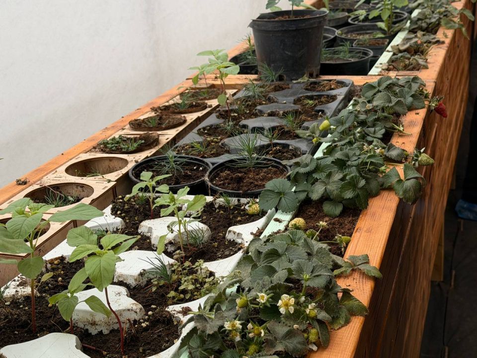 ������� ��� ���������� �� �������� ������: � ����� �������� ������������������� ������