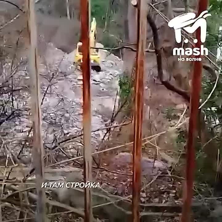 ����������� ����� ��� ��������� ��� ����� ��-�� ������������ ��������