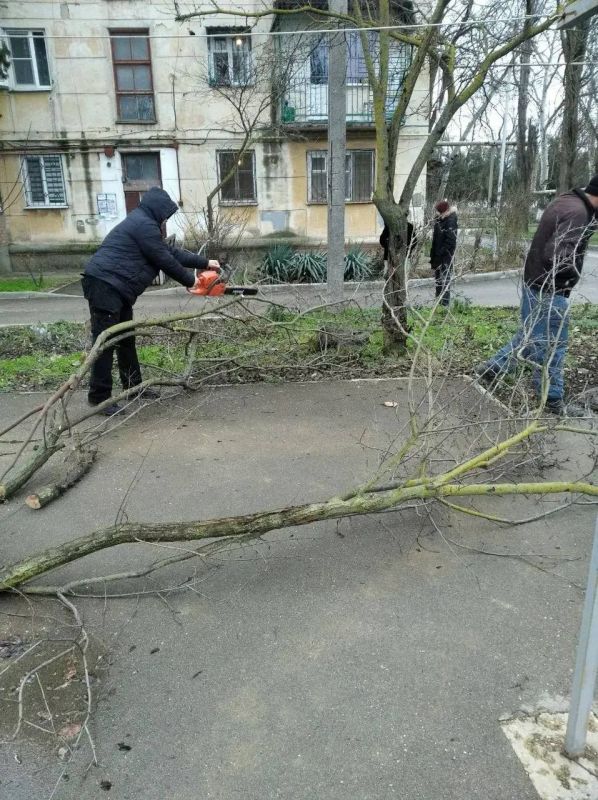 � ��������������� ����� ����� ������� ������ �� ������������ ������������ ���������