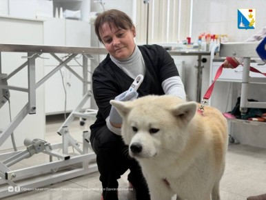 ����� 600 �������� ������ ���������� ����������� � �������������� ����������� � ������ ����