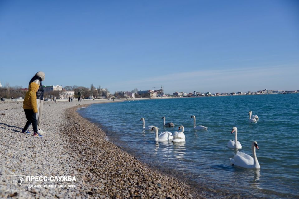 ������ ����, ���������!. ����������� ������� ���������� ������� �� +7��