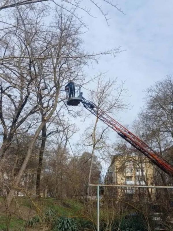 � ��������������� ����� ����� ������� ������ �� ������������ ������������ ���������