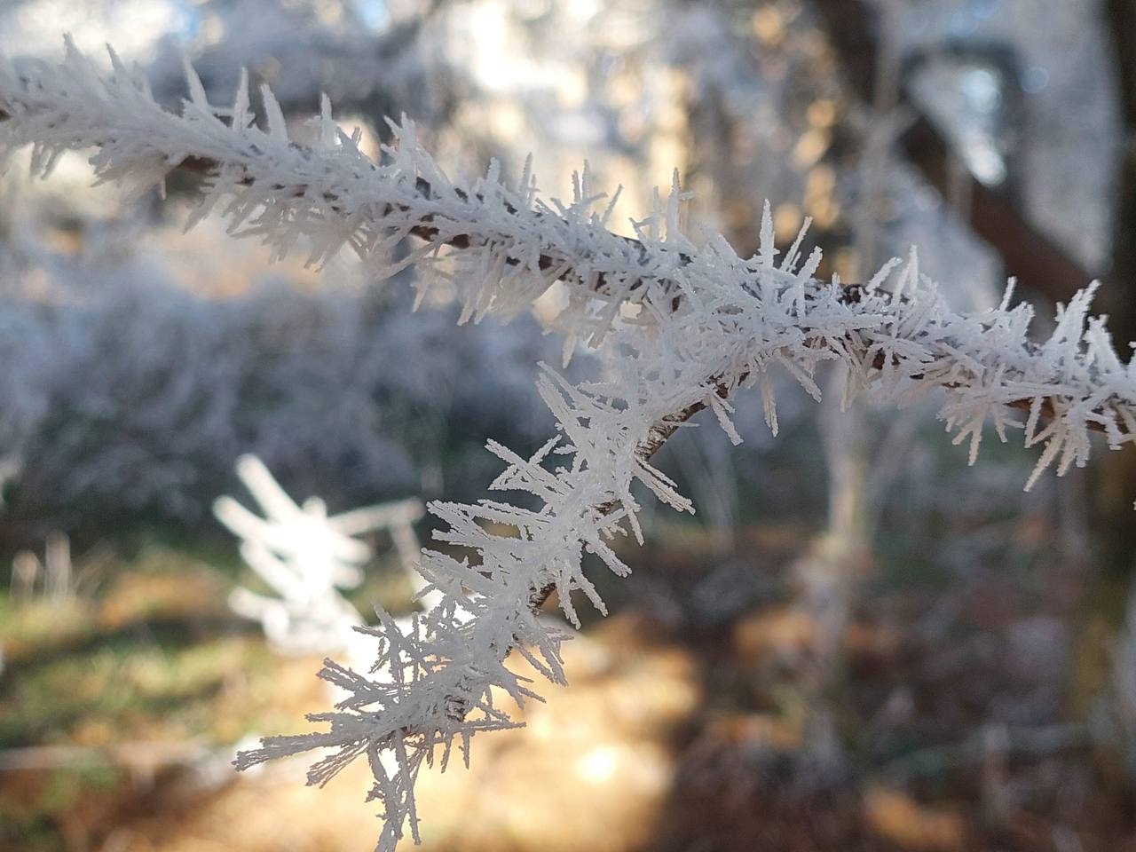 В этот по-настоящему зимний день (вы только посмотрите в окно) покажем вам заснеженный Памятник природы «Пещера МАН» В этот по-настоящему зимний день (вы только посмотрите в окно) покажем вам заснеженный Памятник природы «Пещера МАН»