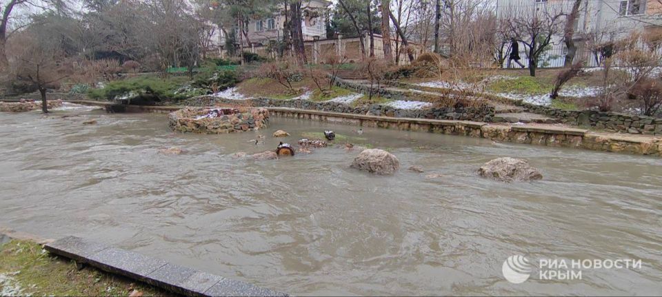 ������ ������ � ����������� � ������ �� ������ �����������