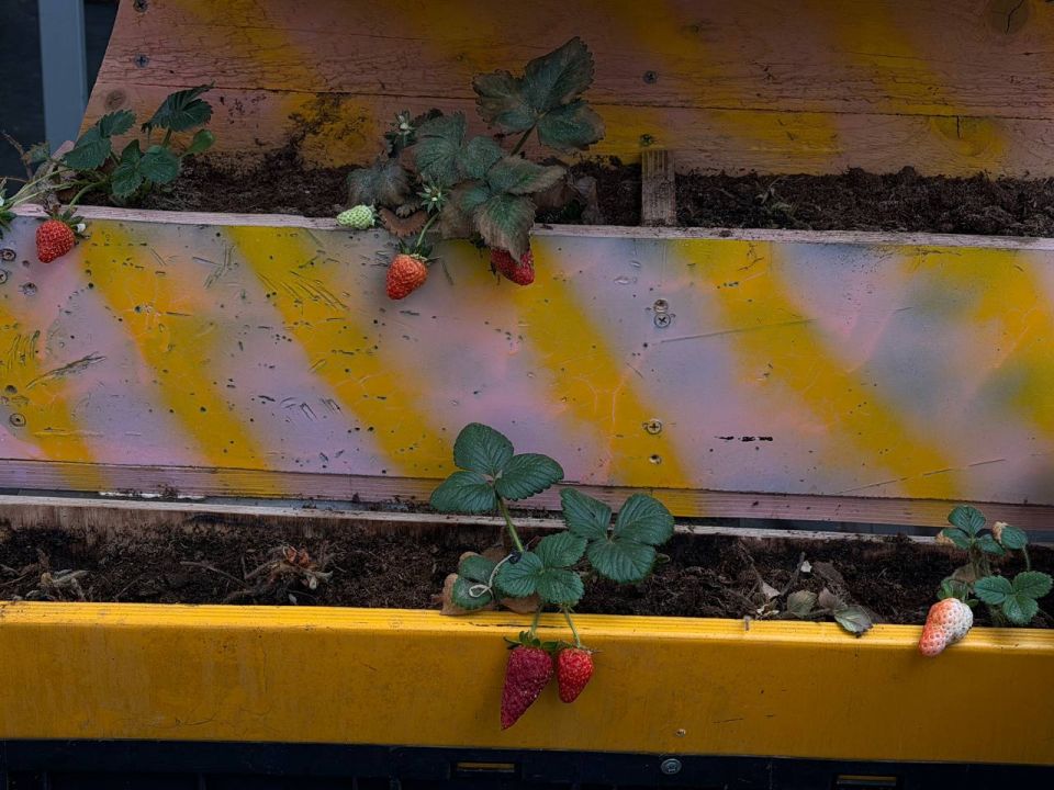 ������� ��� ���������� �� �������� ������: � ����� �������� ������������������� ������