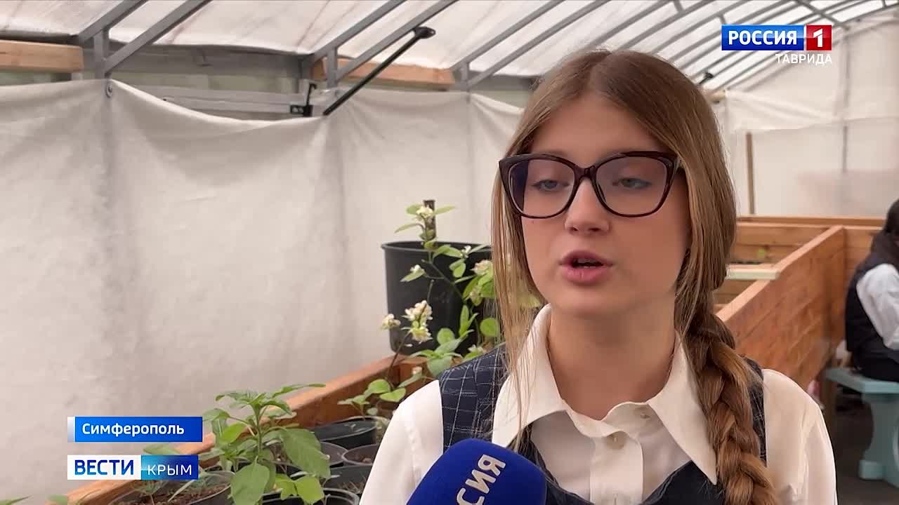 В Крыму в 2026 году планируют оборудовать 5 профильных агротехнологических классов для школьников