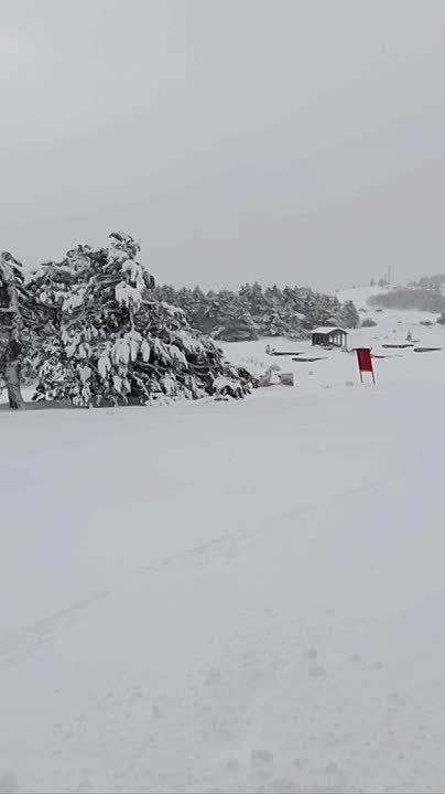 ����������� ����: ������ �� ��-����� ����������� � ��������� ������ ������