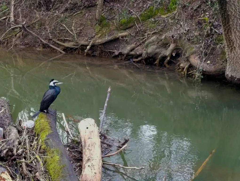 Выходим без зонта: завтра днем осадков не обещают