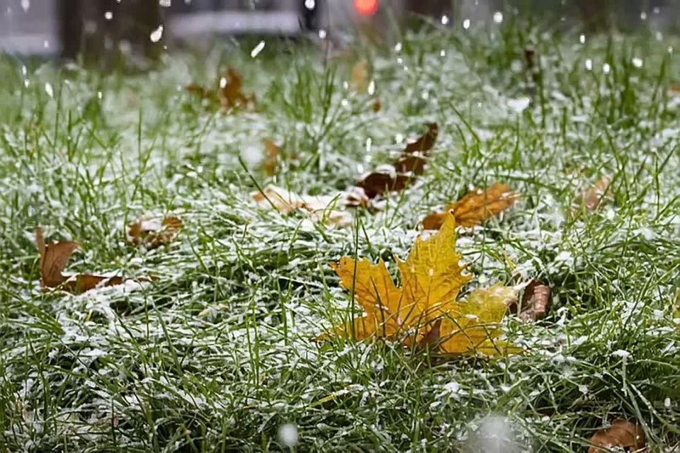 � ����� ��������� ���������� �������������� ��-�� ��������� ������