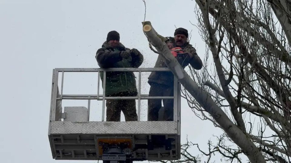 ���������� ������ ���������� ��������� ��������� �������� ���������� ������� � ������������ ��������