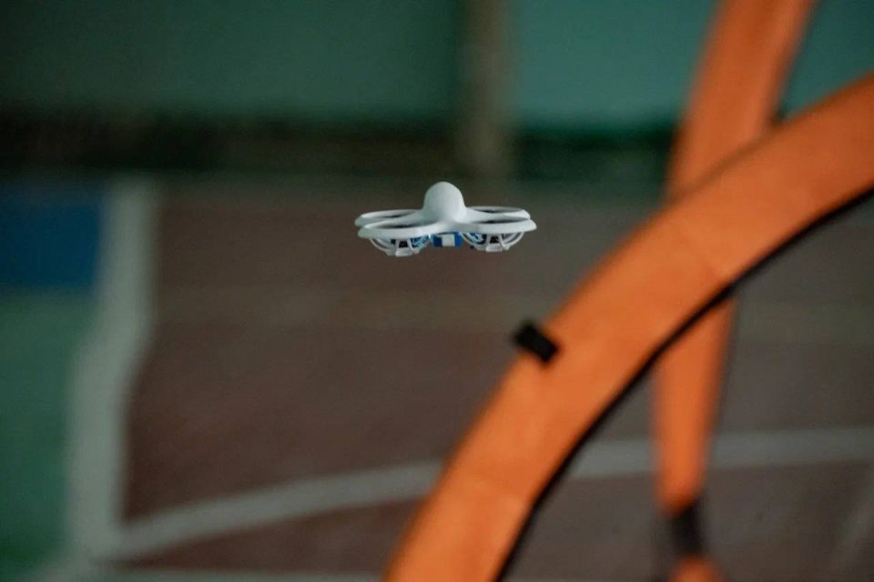 ������ ���������: � ��������������� �������� �������������� ���������� � �������������� ������ �����, ����������� ����������� ��������