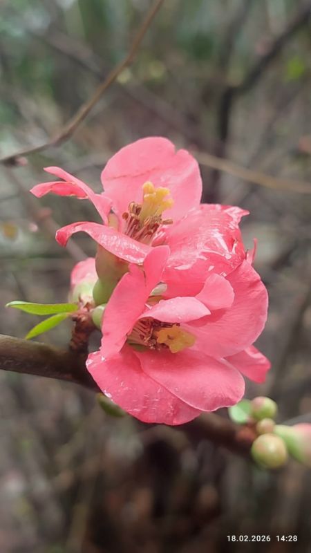 �� �� � �������, ����� ���� �������: ����� ����� ����� ������ �������� ��������