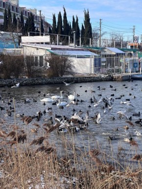 Погода на 26 февраля :