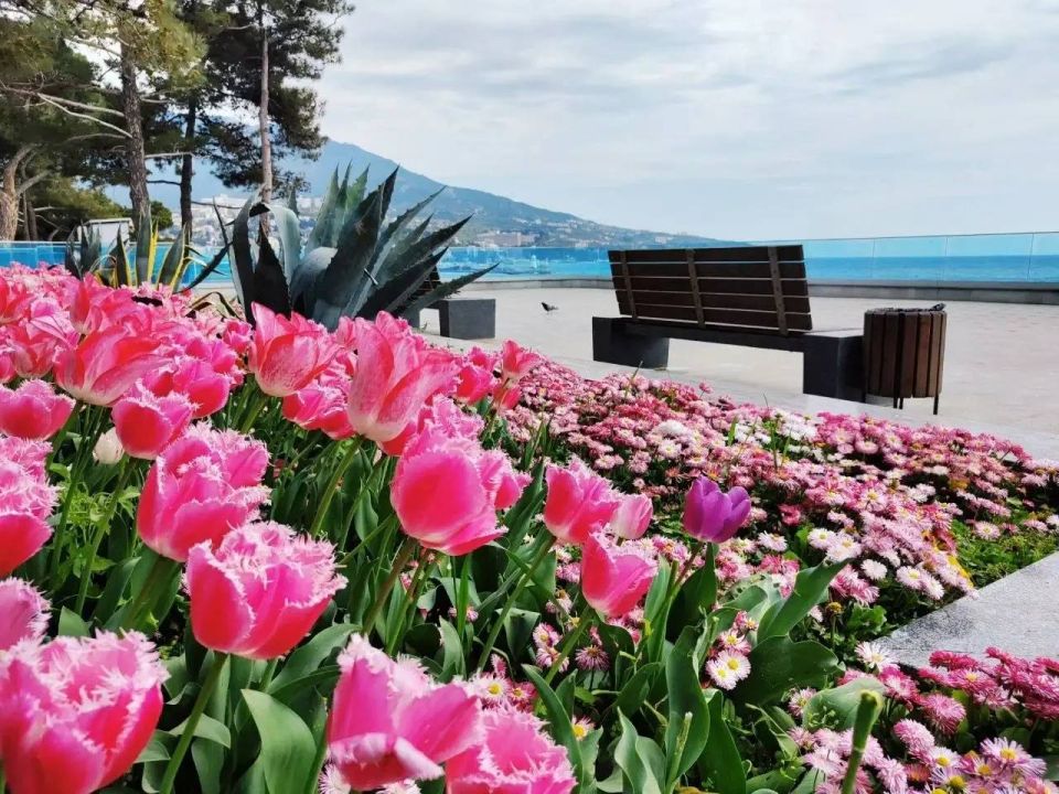 ����� ��������: ��� ��� �� ����� ���� ��������� � ���������� ������ � � ������� � �������� �������