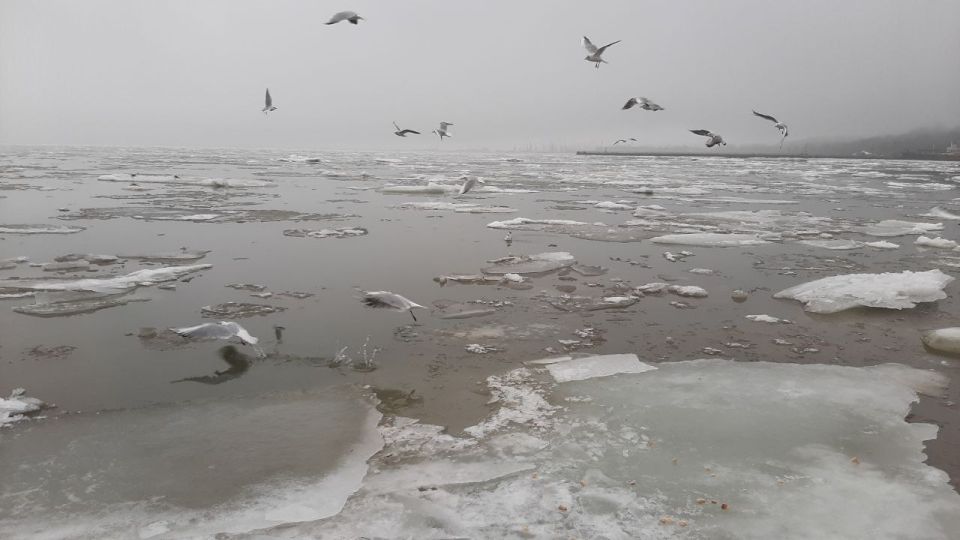 �������� ����������: 50 �������� ������ ��������� ���� �����