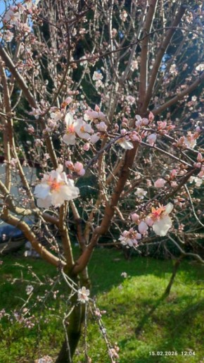 �� �� � �������, ����� ���� �������: ����� ����� ����� ������ �������� ��������