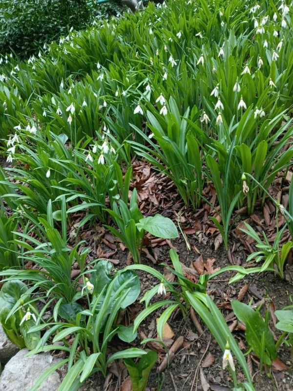 �� �� � �������, ����� ���� �������: ����� ����� ����� ������ �������� ��������