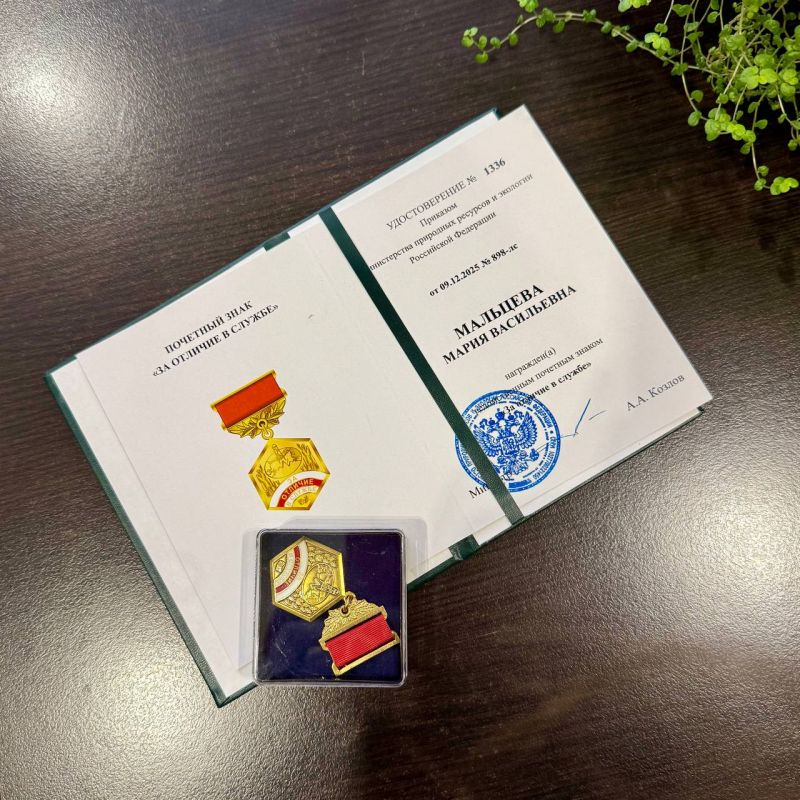 ������� � ���� ������������ ���������