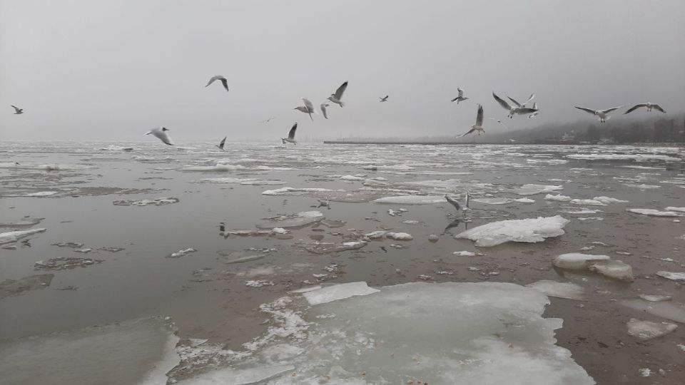 �������� ����������: 50 �������� ������ ��������� ���� �����