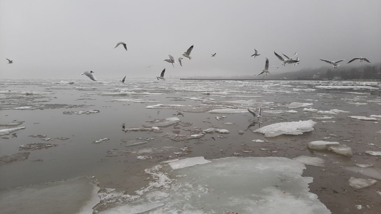 Виктория Мельникова: 50 оттенков серого Азовского моря зимой