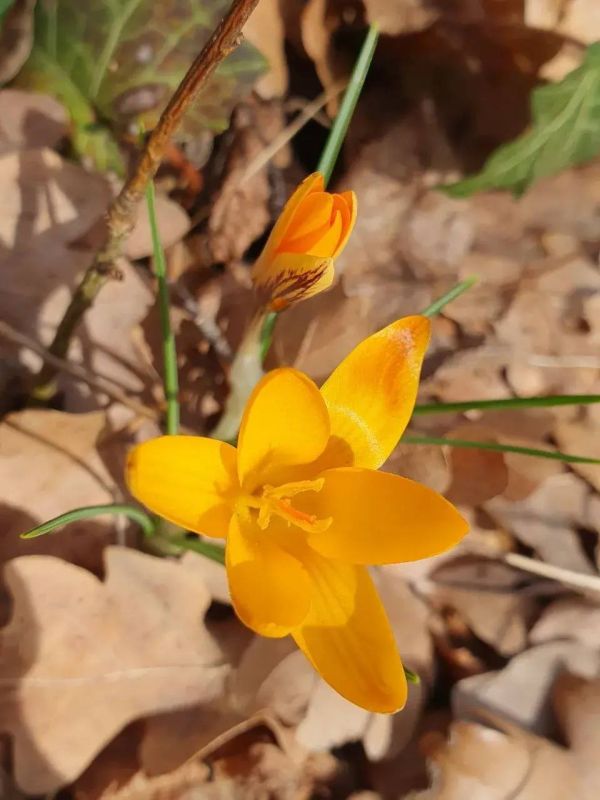 ����� ��������: ��� ��� �� ����� ���� ��������� � ���������� ������ � � ������� � �������� �������